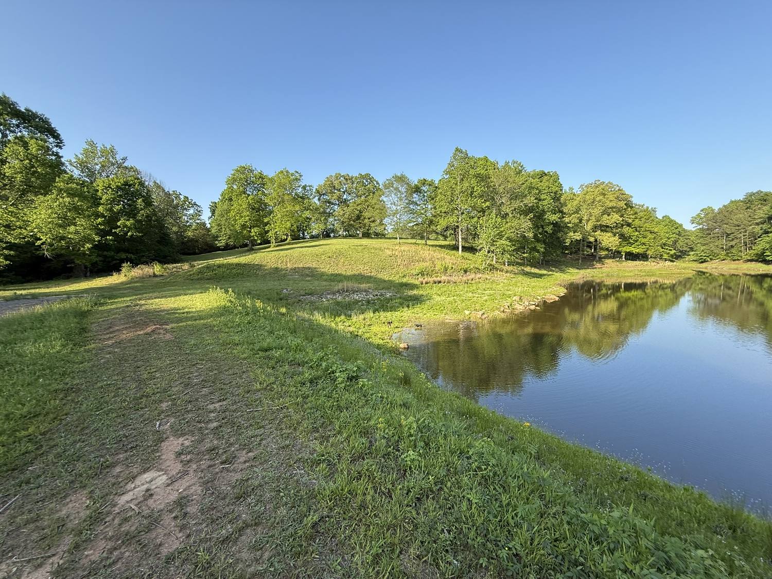 Grass slope of the pond dam with rocks along the water's edge on a clear morning.